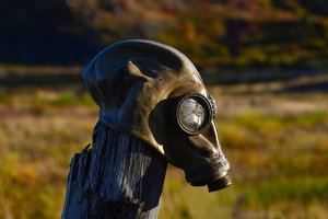 Štai ką tektų valgyti, jei pasaulį ištiktų katastrofa