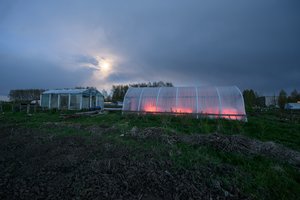 Sinoptikas įspėja, kam nusiteikti: vėl laukia šalnos, snaigės ir vėsa