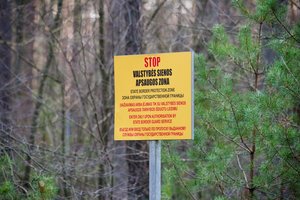 Per parą pasieniečiai į šalį neįleido vieno neteisėto migranto