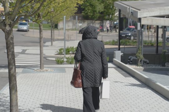 Nauji šalčio rekordai Lietuvoje: atsakė, kur temperatūra krito labiausiai