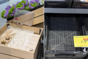 Šių daržovių teks laukti iki pat Joninių – paaiškino, kas atsitiko