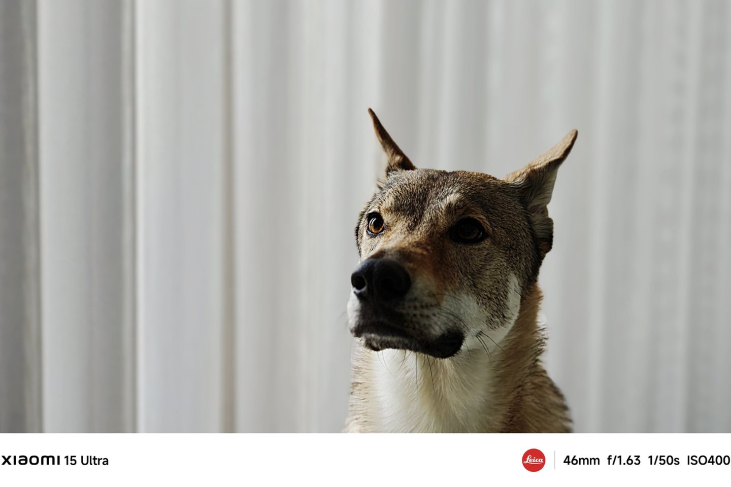 Kai judesys sustingsta: Roko Tenio užfiksuotos sporto akimirkos iš arti.<br>R.Tenio nuotr.