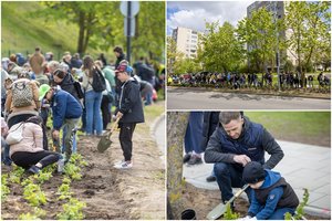 Vienoje iš Vilniaus gatvių – rekordinė talka: per pusvalandį pasodinta 2,5 tūkst. krūmų