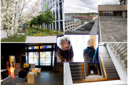 „Open House Vilnius“ šiemet atvėrė ne tik pastatus, bet ir žvilgsnį –  kas tarp jų 
