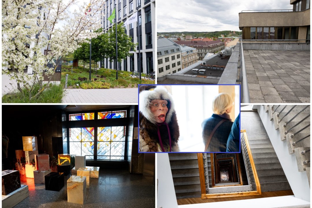 „Open House Vilnius“ šiemet atvėrė ne tik pastatus, bet ir žvilgsnį – kas tarp jų.<br>T. Bauro nuotr.