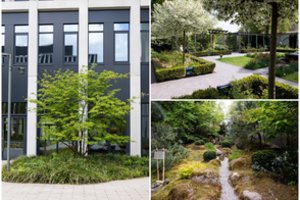 Festivalio naujiena – Vilniaus žaliųjų erdvių architektūra. Kaip miestas tampa gyvas?