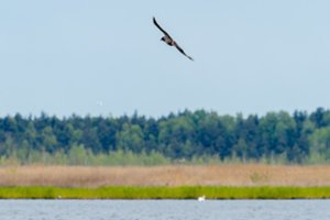 Orai pradės priminti pavasarį: šalnų po truputį mažės, o gamtai reikalingo lietaus daugės