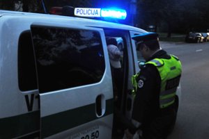 Šalčininkų rajone – šiurpi žmogžudystė: žudikas sudegino garbaus amžiaus moterį