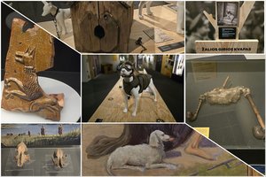 „Istorija vizgina uodegą“: originali paroda apie šunis ir kitus svarbius dalykus