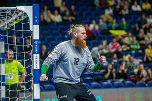 Ilgametis rinktinės vartininkas V. Rašimas baigė karjerą nacionalinėje komandoje