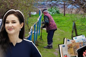 Seime susirėmė dėl antrosios pensijų pakopos reformos: vadino skylėtu paltu, kurį visi tempia į savo pusę