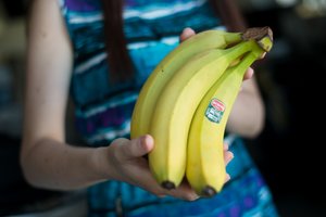 Naujausioje ataskaitoje – įspėjimas apie grėsmę bananams 