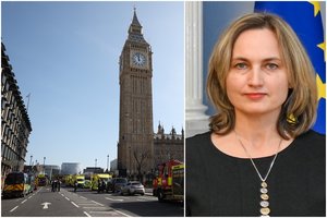 Žiniasklaida: į ambasadoriaus pareigas JK ketinama deleguoti A. Radikaitę