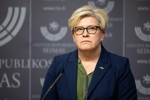 I. Šimonytė apie premjero siūlymą parduoti ministerijų miestelio projektą: ponų valia