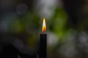 Mirė Karaliaus Mindaugo husarų bataliono karė