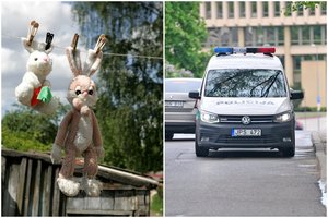 Po 9-metės pokalbio mokykloje su vaiko teisių specialistu Vilniaus policija susidomėjo mergaitės mama