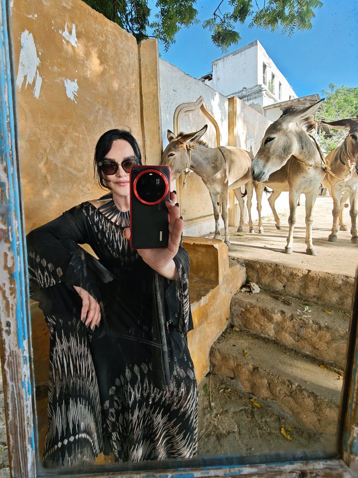 Nuotraukos darytos su Xiaomi 15 Ultra telefonu.<br>V.Vaišvilaitės nuotr.