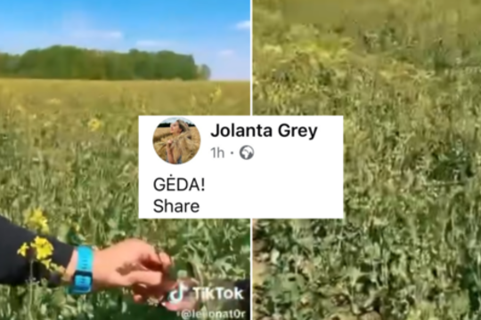 Pasėlius išjuokusiems įmonės darbuotojams – ūkininkų kirtis: ragina boikuotuoti produktus