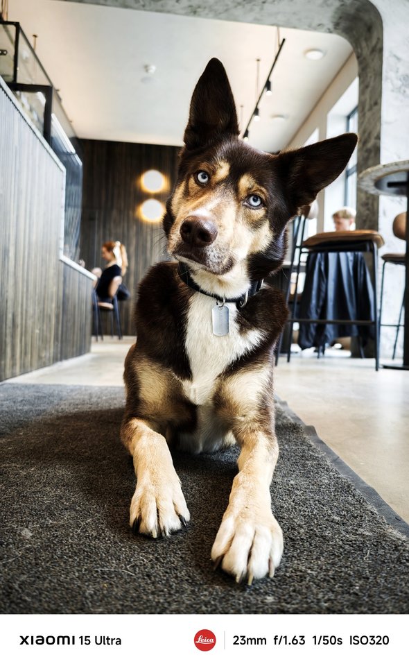 Miestas kadre. Pasigrožėkite Mariaus Žičiaus kadrais.<br>M.Žičiaus nuotr.