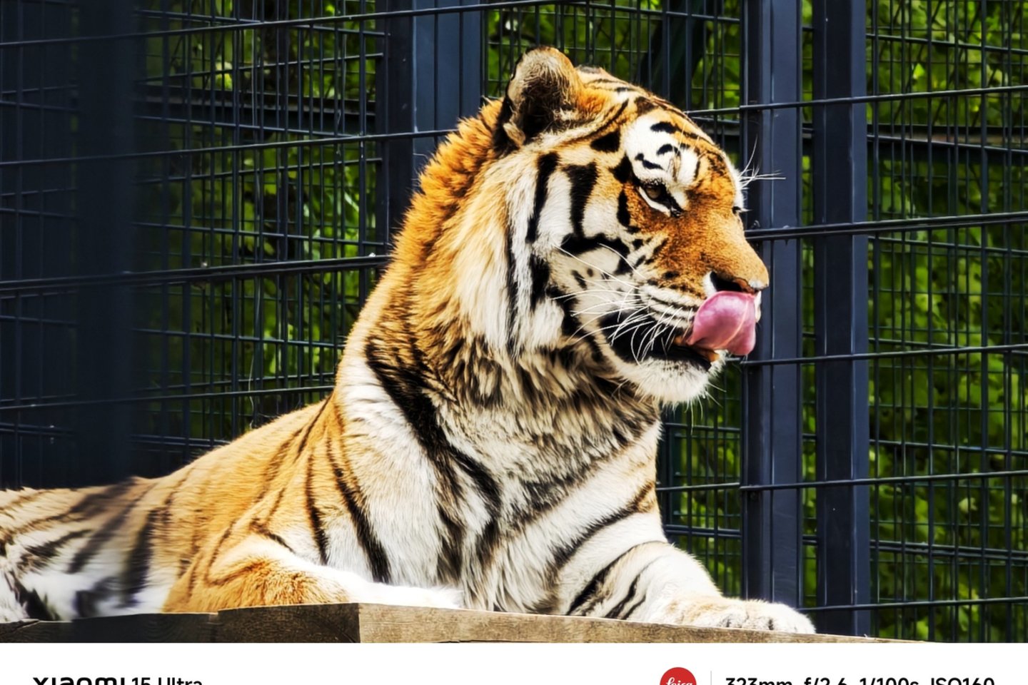 Miestas kadre. Pasigrožėkite Mariaus Žičiaus kadrais.<br>M.Žičiaus nuotr.