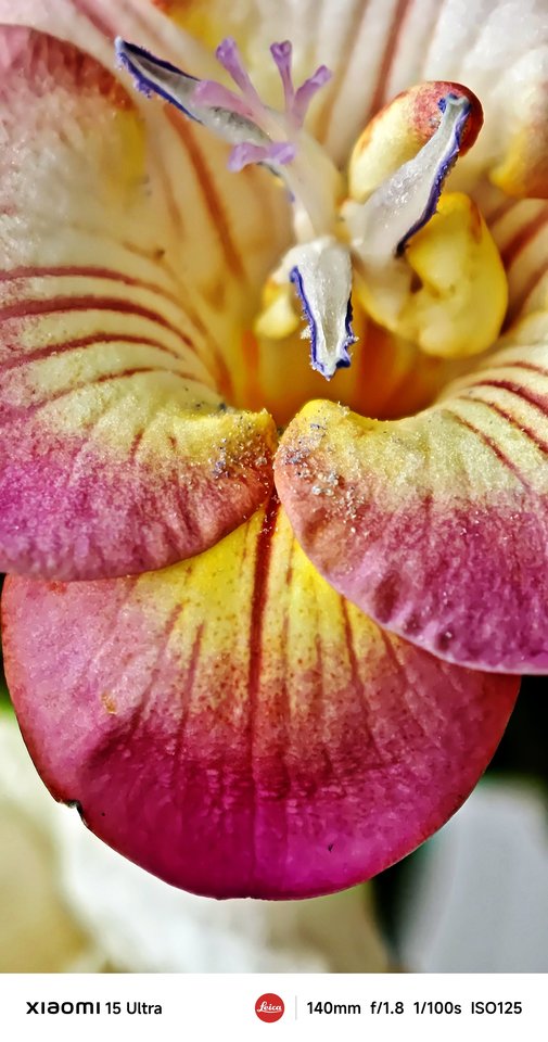 Miestas kadre. Pasigrožėkite Mariaus Žičiaus kadrais.<br>M.Žičiaus nuotr.