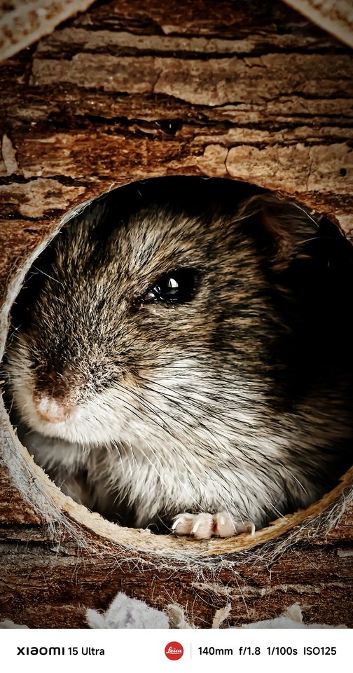 Miestas kadre. Pasigrožėkite Mariaus Žičiaus kadrais.<br>M.Žičiaus nuotr.