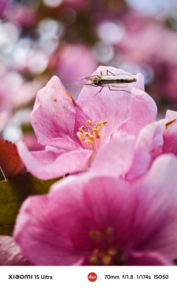 Miestas kadre. Pasigrožėkite Mariaus Žičiaus kadrais.<br>M.Žičiaus nuotr.