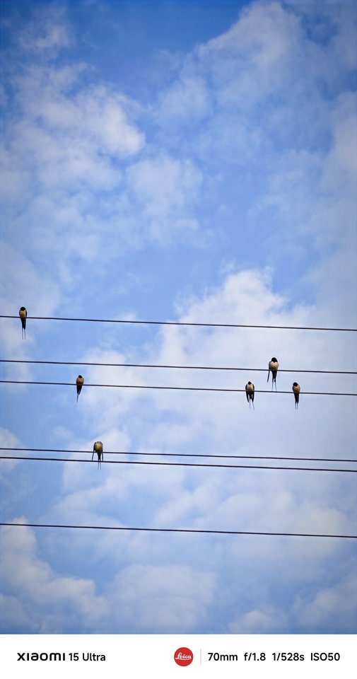 Miestas kadre. Pasigrožėkite Mariaus Žičiaus kadrais.<br>M.Žičiaus nuotr.
