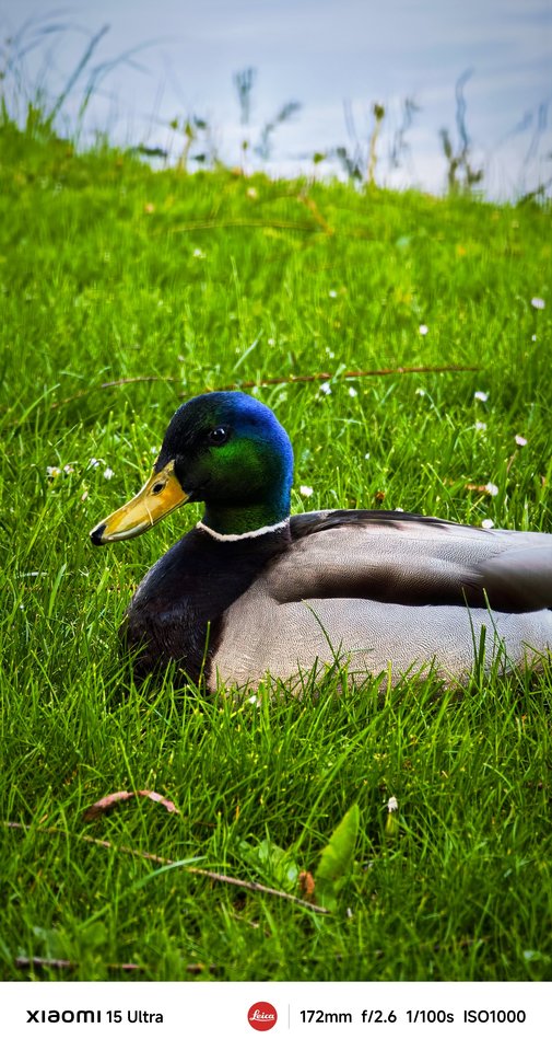 Miestas kadre. Pasigrožėkite Mariaus Žičiaus kadrais.<br>M.Žičiaus nuotr.