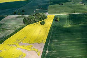 Rekordinis sandoris Kėdainiuose: sklypas parduotas už šešiaženklę sumą 