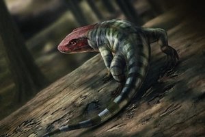 Senoviniai pėdsakai gali priversti perrašyti gyvūnų, palikusių vandenį ir pradėjusių gyventi sausumoje, istoriją