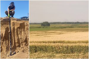 Atlikdami tyrimą, Lietuvos geologijos tarnybos specialistai užfiksavo įdomių faktų