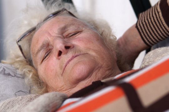 Košmaras Kretingos rajone: senolė dukters namuose supuvo gyva