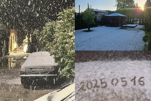 „Gamta susipyko su protu“: Lietuvoje žemę užklojo sniegas