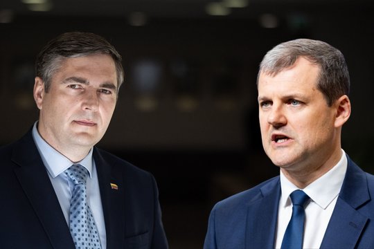 „Jei nėra padorumo, tai nepadės“: valdantiesiems užsitraukus gėdą Konstitucijos ekspertai įžvelgia gudravimus