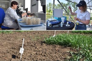 Žemdirbiai perima tai, ką kuria mokslas, – liko vos žingsnis ir iki genų redagavimo