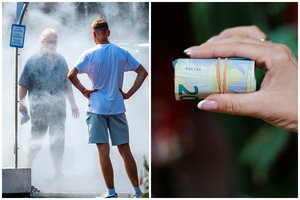 Žeria kritiką mokesčių reformai: iš kaimynų klaidų nepasimokėme