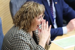 Parlamentarė J. Sejonienė papuolė į sukčių pinkles: „Turėtumėt būti labai atsargūs“