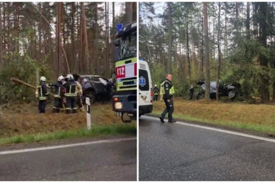 Vaizdai greta Merkinės: automobilis nulėkė nuo kelio ir atsitrenkė į medį