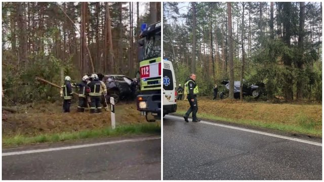 Vaizdai greta Merkinės: automobilis nulėkė nuo kelio ir atsitrenkė į medį