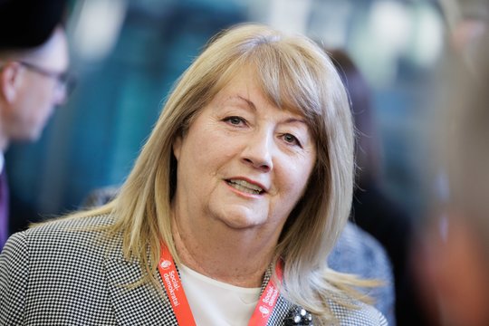 V. Blinkevičiūtė apsisprendė dėl savo politinės ateities