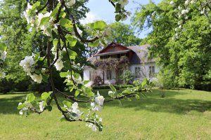 Muziejų diena Rojuje – žydinčios obelys neša naują viltį