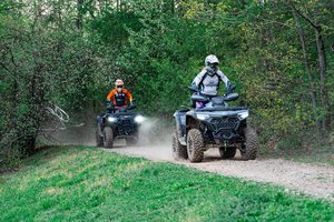 Keturratininkų bendruomenė Lietuvoje sparčiai plečiasi: vilioja bendri pomėgiai ir ilgai išliekančios istorijos