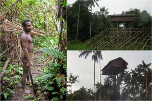 Vos prieš 50 metų atrasta gentis šokiruoja savo gebėjimais: jų namai – ties medžių viršūnėmis