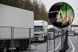 Lietuviai į Rusiją gabeno draudžiamas prekes – vežė net gėlių svogūnėlius