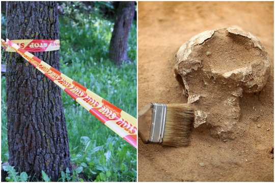 Kraupus radinys Vilkaviškio r. laukuose: aptikta vaiko ir suaugusio žmogaus kaukolės bei skeletų likučių