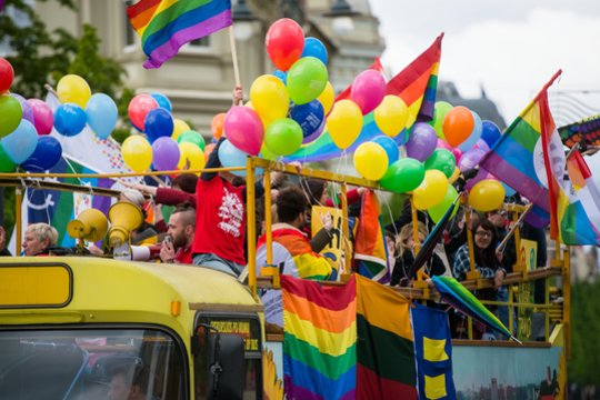 Teismas: LGBT eitynių dalyvis pažeidė viešąją tvarką, nuteistas pagrįstai