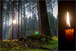 Pranašingas tėvo sapnas: „Jaučiau, kad kažkur netoliese užkastas mano dukters kūnas“