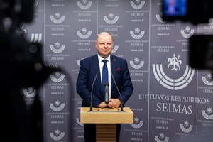 „Demokratai“ palaikys naujausią NT mokesčio projektą: siūlys visas pajamas skirti savivaldybėms