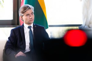 Izraelio pajėgoms apšaudžius diplomatus, K. Budrys kreipėsi į ambasadą